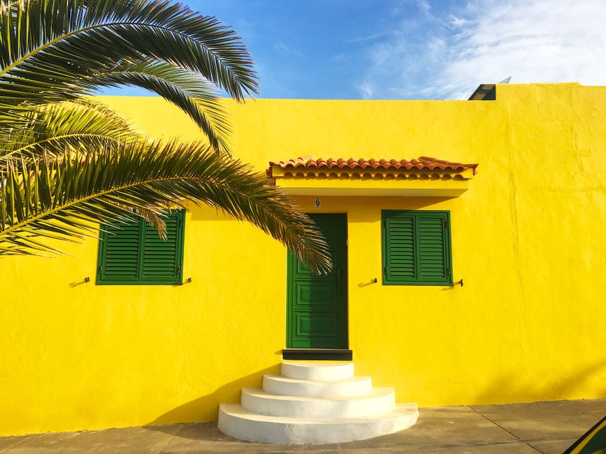 Yellow house wall with green shutters beside a palm tree.